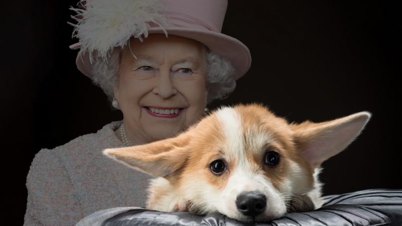 https://www.thebreeze.co.nz/home/must-see/royals/2022/09/corgi-owners-share-how-their-pups-are-behaing-differently-as-they-mourn-queen-elizabeth-ii/_jcr_content/_cq_featuredimage.coreimg.jpeg/1663906584346/brz-sadcorgi-hero.jpeg
