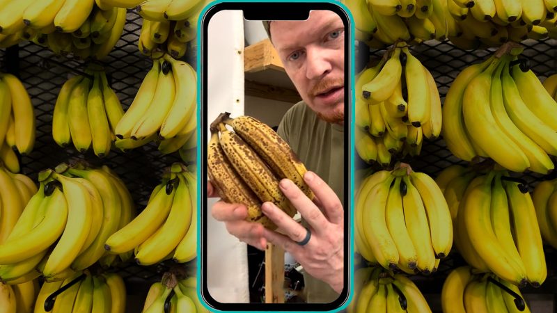 https://www.thebreeze.co.nz/home/the-good-stuff/2023/08/keep-your-bananas-ripe-for-up-to-15-days-longer-with-this-super-simple-water-trick/_jcr_content/_cq_featuredimage.coreimg.jpeg/1691710603779/brz-bananashack-hero.jpeg